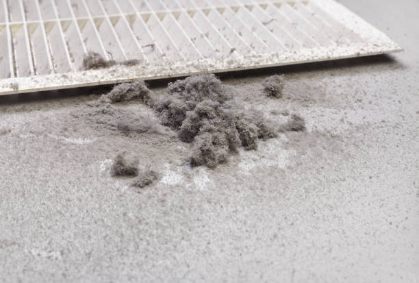 Best Professional Duct Cleaning Services  in Columbus, IN