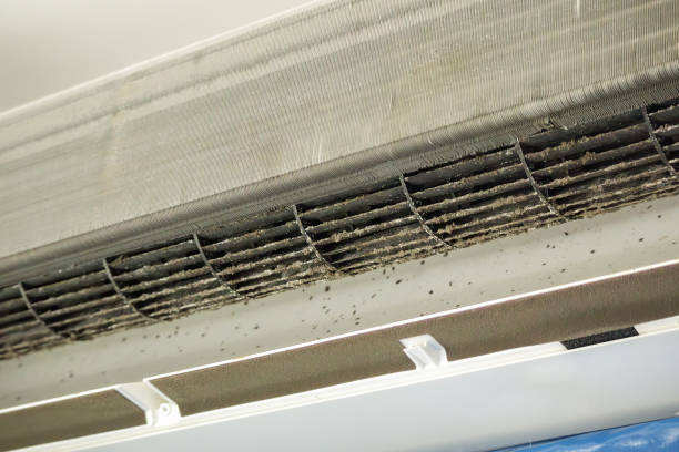 Best HVAC System Cleaning  in Columbus, IN